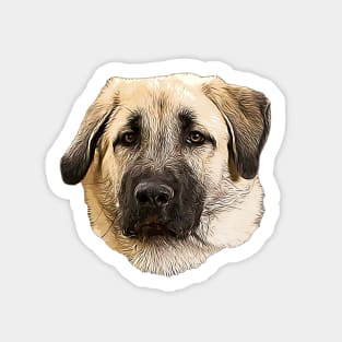 Kangal Shepherd Dog Sticker